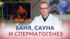 Как баня и сауна влияют на сперматогенез. Андролог-уролог ЦИР, к.м.н., Андрей Романович Живулько.