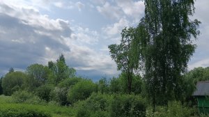 Как- же быть с Картошкой,все заросло мокрицей. Надо было раньше полоть...
