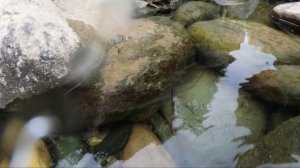 Река Сочи (в Сочи) село Пластунка не далеко от Ореховского водопада