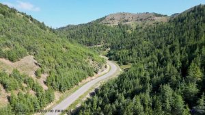 Невозможно не заслушаться под такую завораживающую картинку - Budsbursting -- Podington Bear -- Said