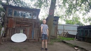 скейт дерево