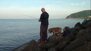 Утренняя морская рыбалка в Джубге: ласкирь на спиннинг с берега!