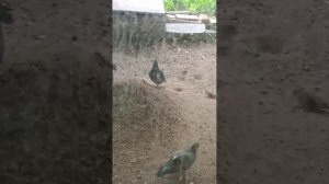водные процедуры