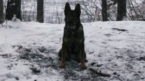 рычание ПО 4х3