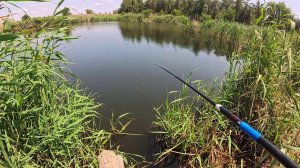 Пытаюсь поймать рыбу в этом маленьком озере.
