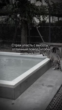 Плохой повод