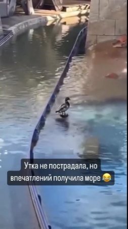 Когда нажал не ту кнопку на умном унитазе 😅