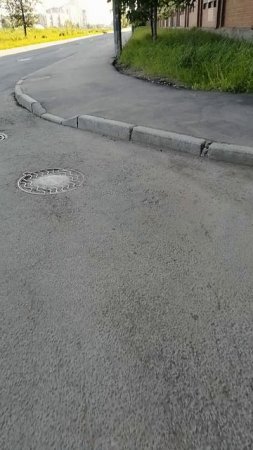 Собаки и пустыри