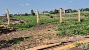 Сегодня настолько жарко, мы как варенные прячемся в доме