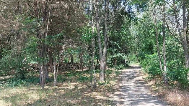 Ботанический сад Ростова-на-Дону