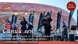 Синий лён. Исполняет ретро-группа «Чародеи». Из репертуара Ларисы Мондрус