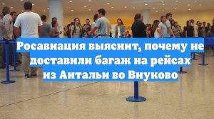 Росавиация выяснит, почему не доставили багаж на рейсах из Антальи во Внуково