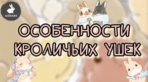 Зачем кролику уши?