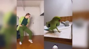 Приколы смотрю ржаку до слёз