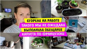 СГОРЕЛИ на РАБОТЕ / Такого мы НЕ ОЖИДАЛИ / Выполнила ОБЕЩАНИЕ / КАПУСТА ПО-ФРАНЦУЗСКИ /Vika Siberia