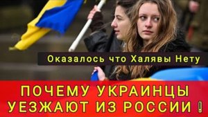 ПОЧЕМУ УКРАИНСКИЕ БЕЖЕНЦЫ УЕЗЖАЮТ ИЗ РОССИИ ❗ОКАЗАЛОСЬ ХАЛЯВЫ ТАМ НЕТУ❗