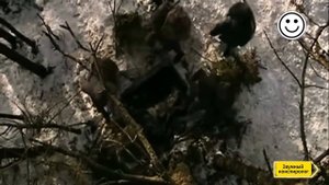 Вагоны ЗАБИТЫЕ ДОВЕРХУ золотом Гитлера! Кто прикарманил несметные сокровища Третьего рейха