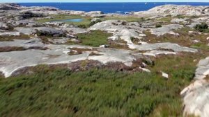 Средства по уходу за бельём ASKO