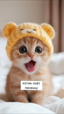 Маленький котик поёт песенку #котик