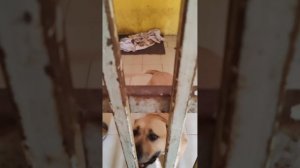 Мириам в ожидании прогулки