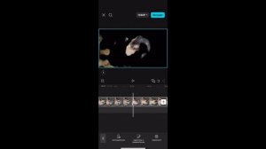 Как удалить фон в CapCut? Легко!
