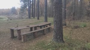 Река Жиздра 2 (05.10.2022)