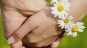 "Мы с тобой вдвоем отправились", Шинкаревы Анатолий и Светлана, свадебная песня