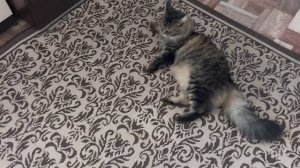 Не отпускаю гулять😂