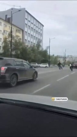 Они победили в этой битве😆