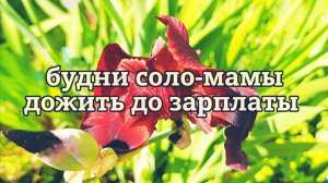 ОДНА С ДВУМЯ ДЕТЬМИ КАК ДОЖИТЬ ДО ЗАРПЛАТЫ