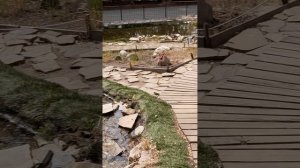 Воронеж. Smart- парк "Дельфин".