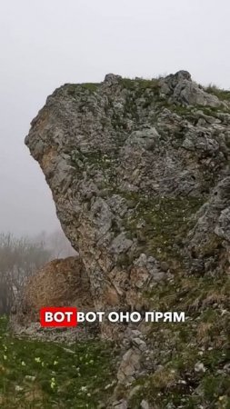 Врезались в тучу!  #shibargan #осетия #горы