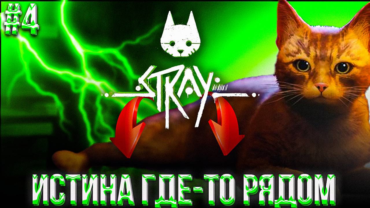#4 STRAY | ЗАГАДКИ КИБЕРГОРОДА | ЗАГАДКИ, ГОЛОВОЛОМКИ