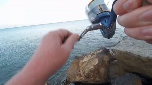 Морская рыбалка в Джубге: морской карась “ласкирь” на бомбарду с берега Чёрного моря!