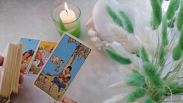 Что необходимо знать о ЗМ на сегодняшний день ❓| расклад таро