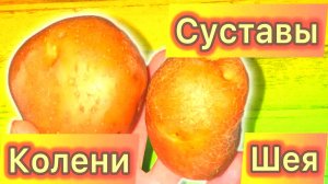30-минутный комплекс от боли в коленях, спине и шее – остеохондроз, шпора, артрит уйдут без лекарств