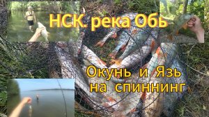 Ловля окуня и язя на спиннинг в чертах города Новосибирск на реке Обь ✌👍👍👍✊
