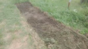Ленивая грядка продолжение