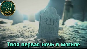 Твоя первая ночь в могиле