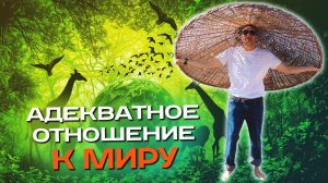 В чем причина Страданий и Трудностей? АДЕКВАТНОЕ отношение к МИРУ🌍
