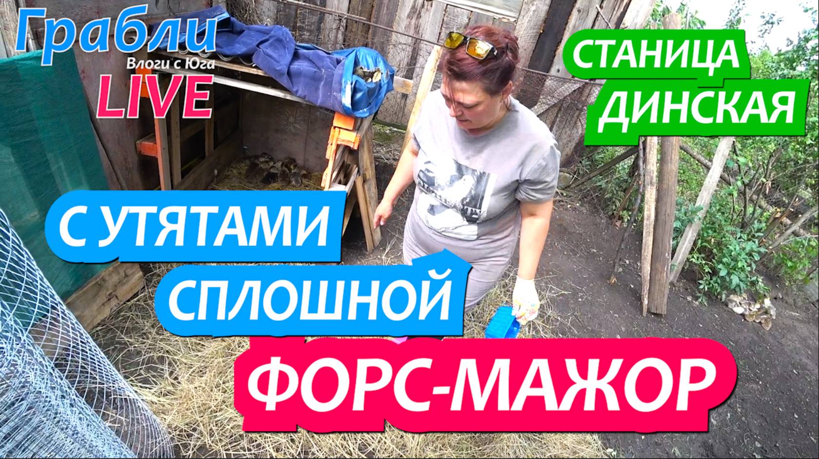 933 серия 13.06.25  Плюсы покупки дома на окраине / Жизнь в станице Динская после переезда на Юг