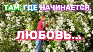 Здесь рождается Любовь. Цветущая Весна в Дендропарке Сочи