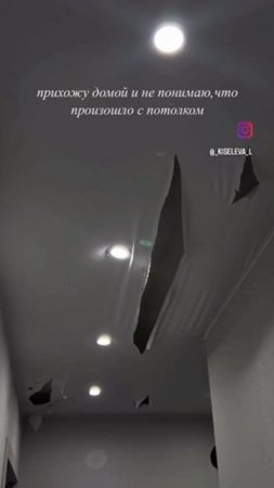 Ещё больше котиков в канале https://t.me/cotorai