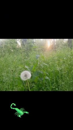 моменты фотографии