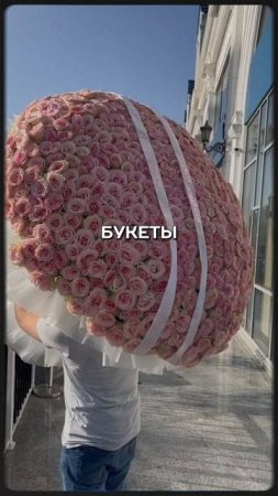Нарциссы…