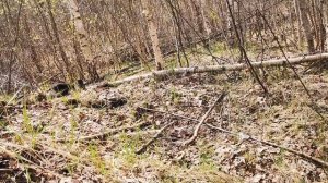 Ничего себе прыжок!