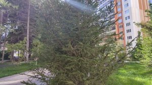 М. Матусовский "С чего начинается родина?"