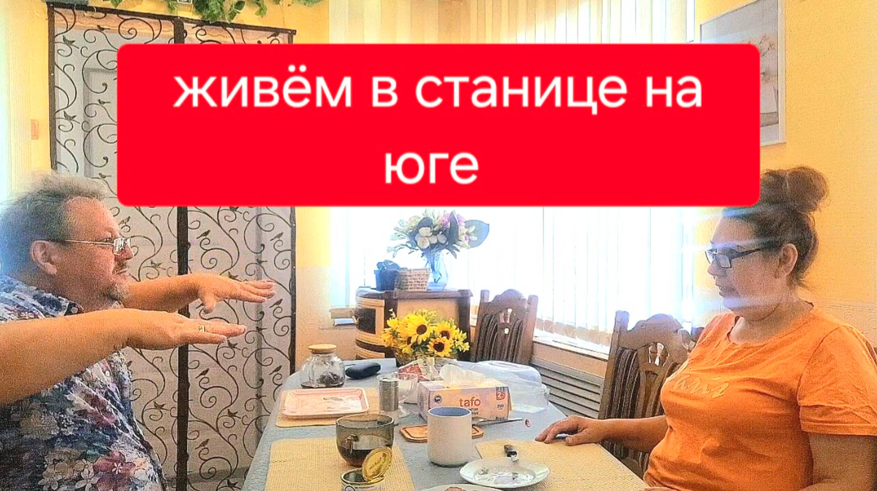 540 🏠 Купили старый дом в станице на юге. Все планы рухнули.