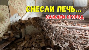 КУПИЛИ ДОМ В ДЕРЕВНЕ | СНЕСЛИ ПЕЧЬ | САЖАЕМ ОГОРОД | БРЯНСКАЯ ОБЛАСТЬ