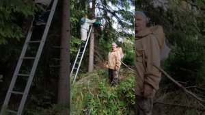 Когда лучше снимать пчелиные ловушки? Узнайте секреты успешного пчеловодства!